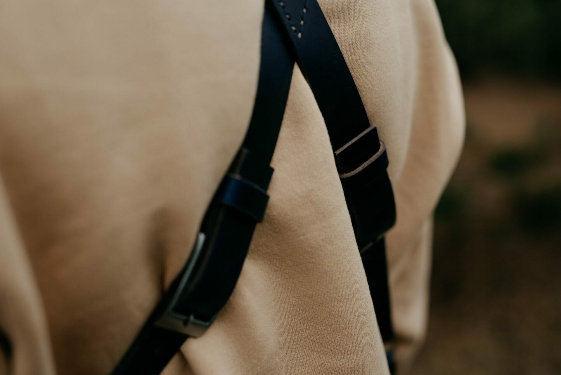 Ludvig - bla - Image 6